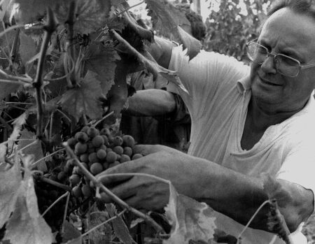 L’estate del 1966: Fabbri fugge in convento dopo la sconfitta