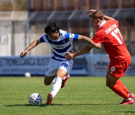 Pro Patria e Triestina si dividono la posta, Picerno trionfa a Catania